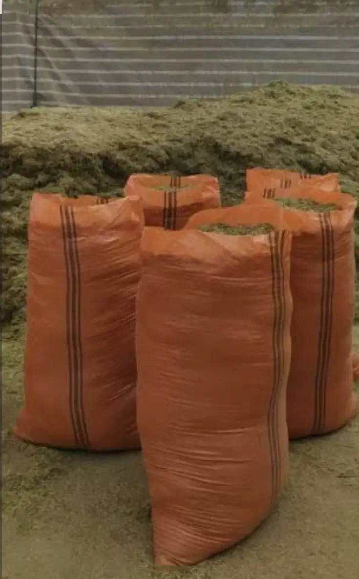 کاه یونجه|لوازم جانبی حیوانات|رودخانه, |دیوار