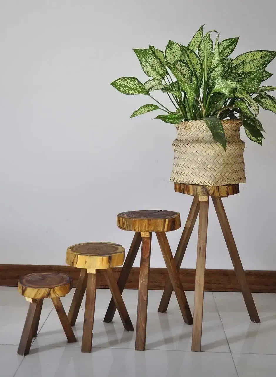 انواع پایه گلدان چوبی|گل و گیاه طبیعی|قم, شاه ابراهیم|دیوار