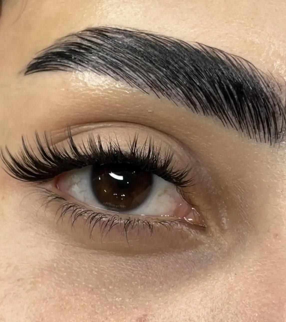 کاشت مژه|خدمات آرایشگری و زیبایی|خوی, |دیوار