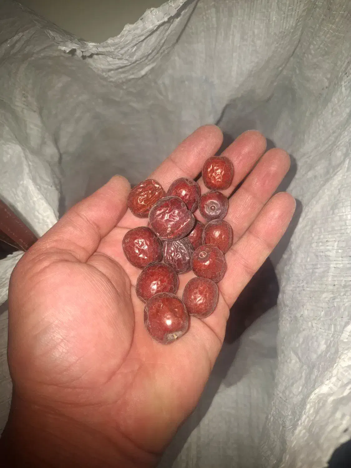 عناب|خوردنی و آشامیدنی|تهران, شهرک دانشگاه|دیوار