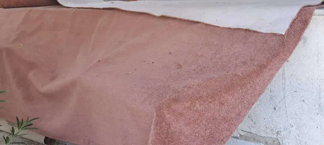 موکت پالاز|موکت|بوشهر, |دیوار