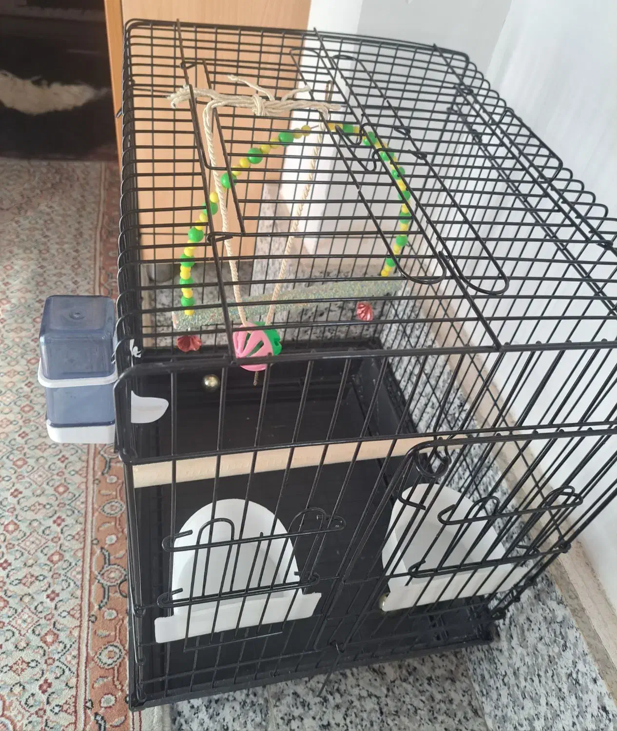 قفس پرنده|لوازم جانبی حیوانات|ارومیه, |دیوار