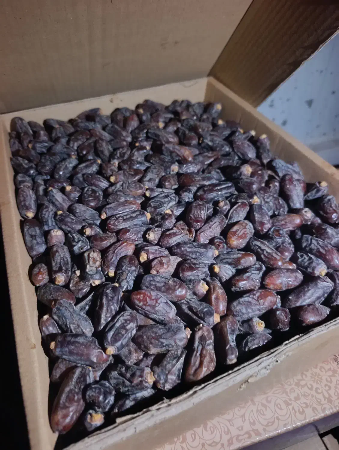 فروش خرما ربی درجه یک|خوردنی و آشامیدنی|بمپور, |دیوار