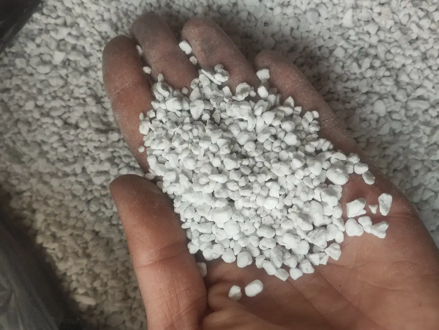 پرلیت بستر کشت|گل و گیاه طبیعی|خمینی‌شهر, |دیوار