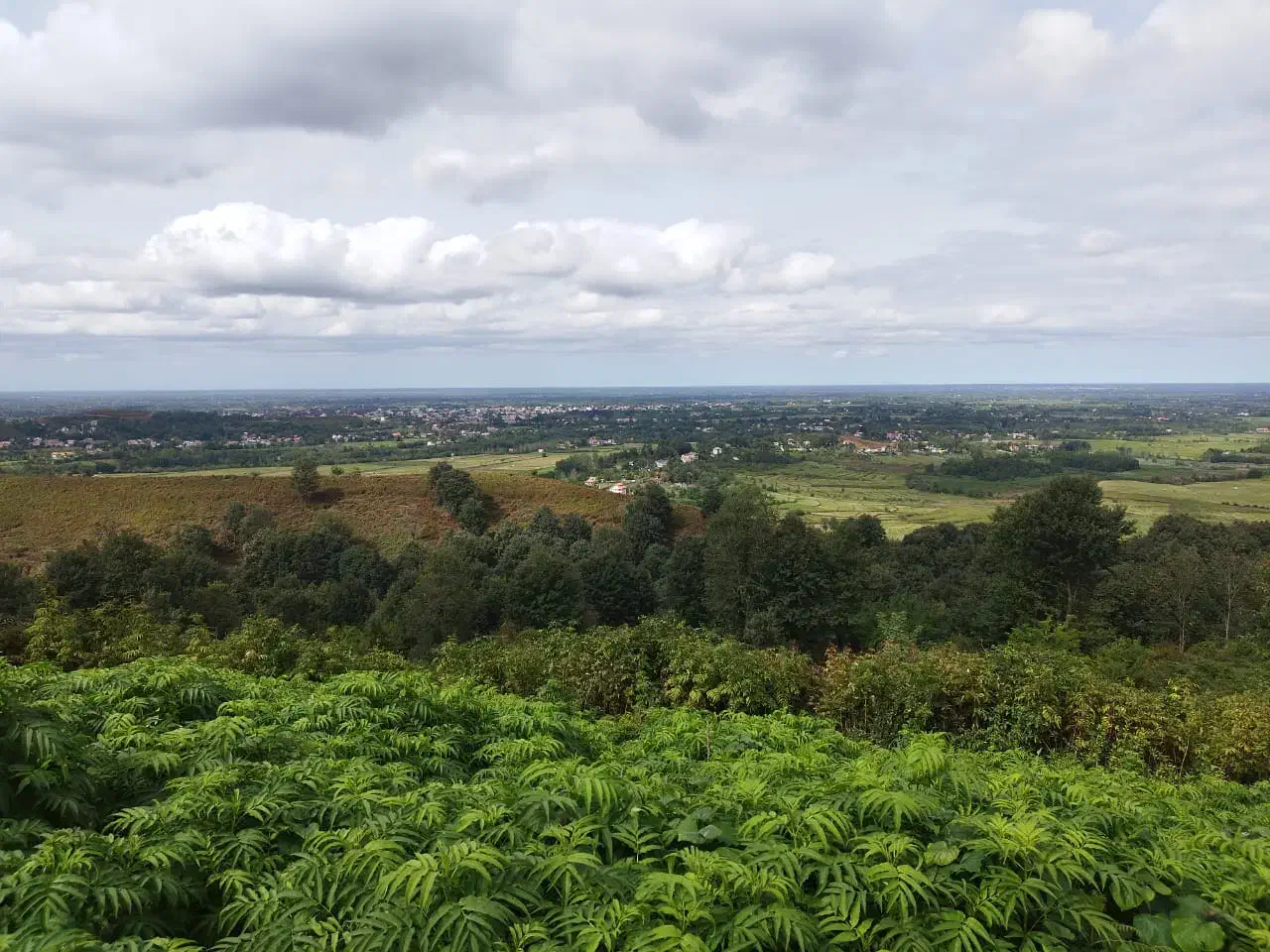 زمین جنگلی در گیلان بدون واسطه|فروش زمین و ملک کلنگی|لاهیجان, آهندان|دیوار