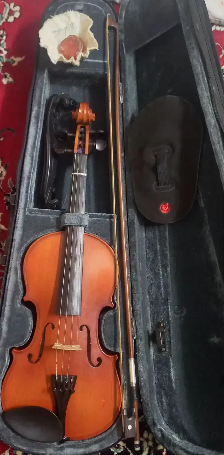 ویلون|ویولن|شیراز, شهرک قمشه|دیوار