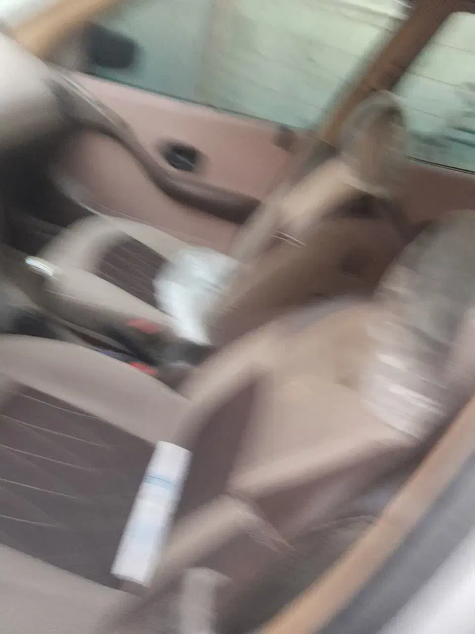 پژو۴۰۵|خودرو سواری و وانت|برخوار, |دیوار