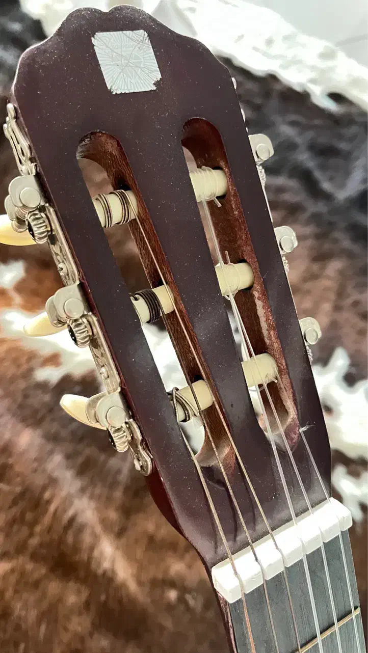 گیتار|گیتار، بیس، امپلیفایر|تهران, آجودانیه|دیوار