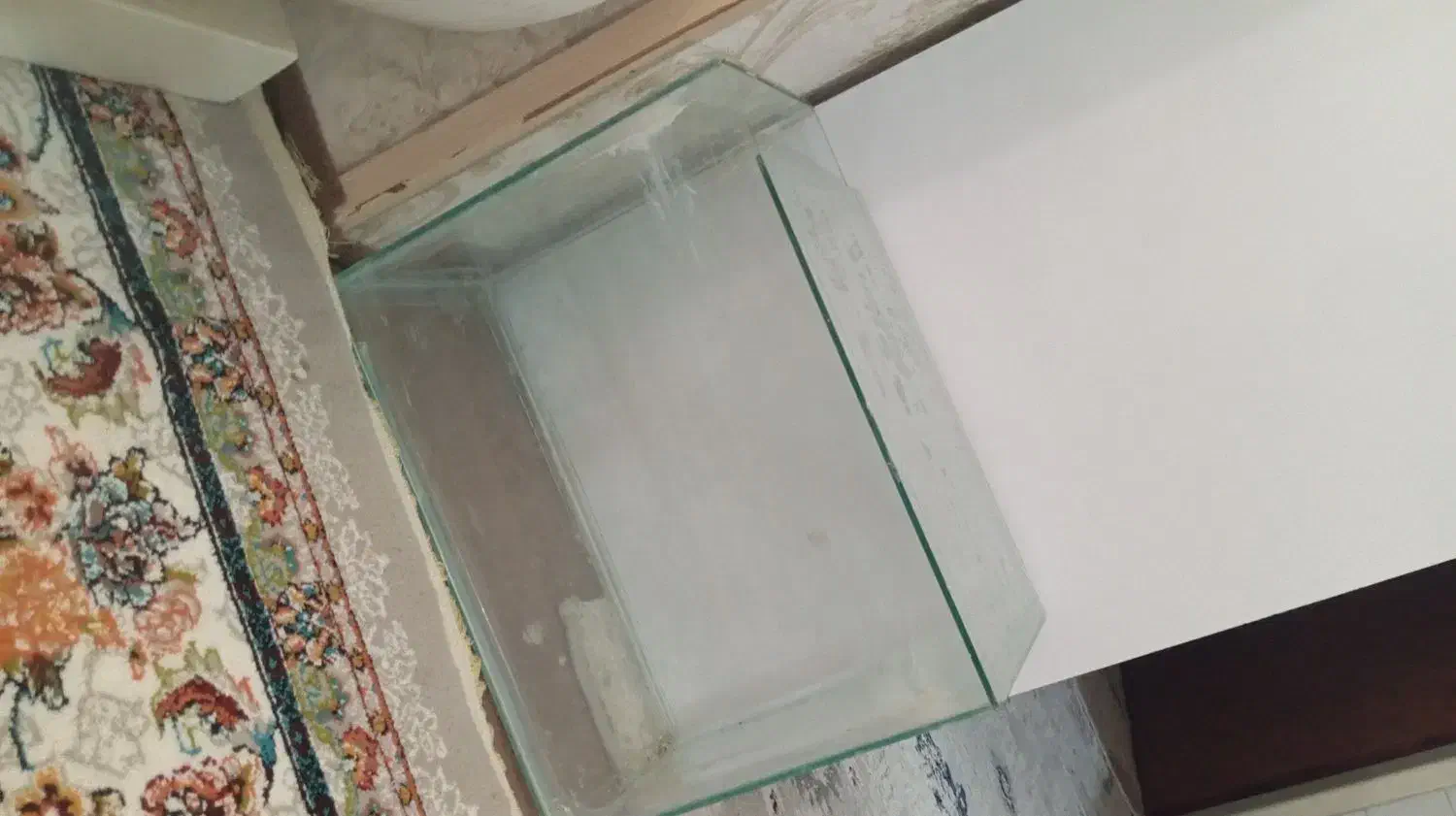 آکواریوم در حد نو|ماهی|اردبیل, |دیوار