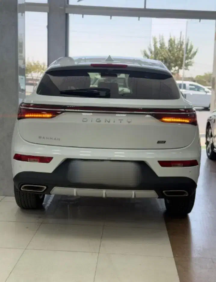 دیگنیتیپرایموپرستیژ/صفروخشک/تحویلروز|خودرو سواری و وانت|تهران, صادقیه|دیوار