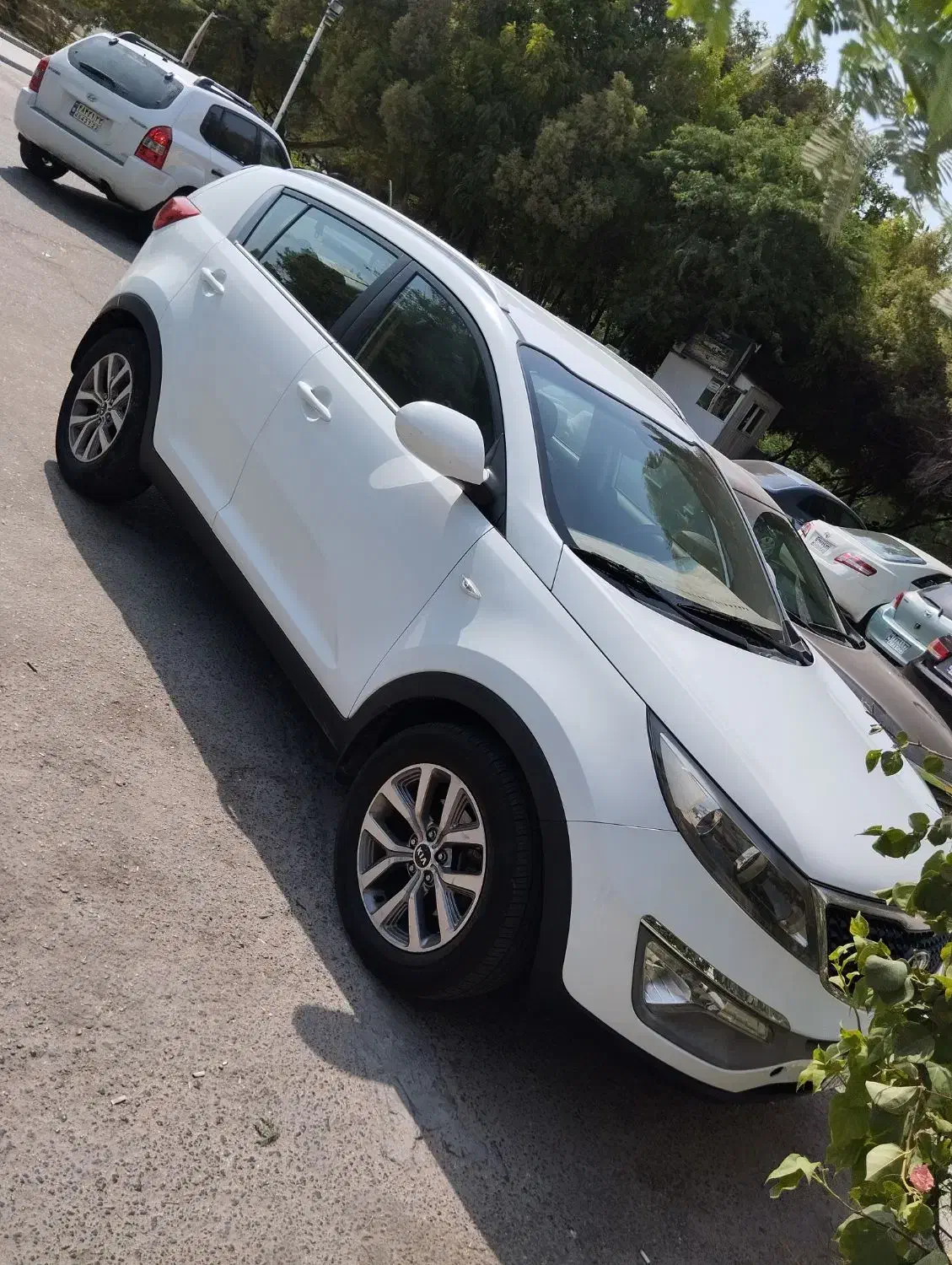 اجاره خودرو روزانه هفتگی اسپورتیج|خودرو اجارهای|کیش, |دیوار