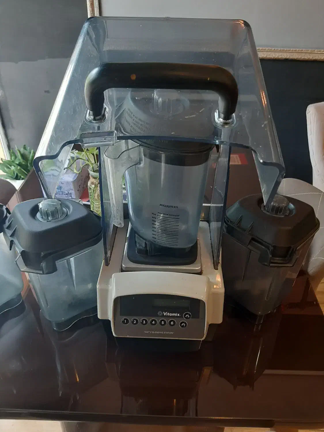 بلندر ویتامیکس|کافی‌شاپ و رستوران|مشهد, تربیت (صدف)|دیوار