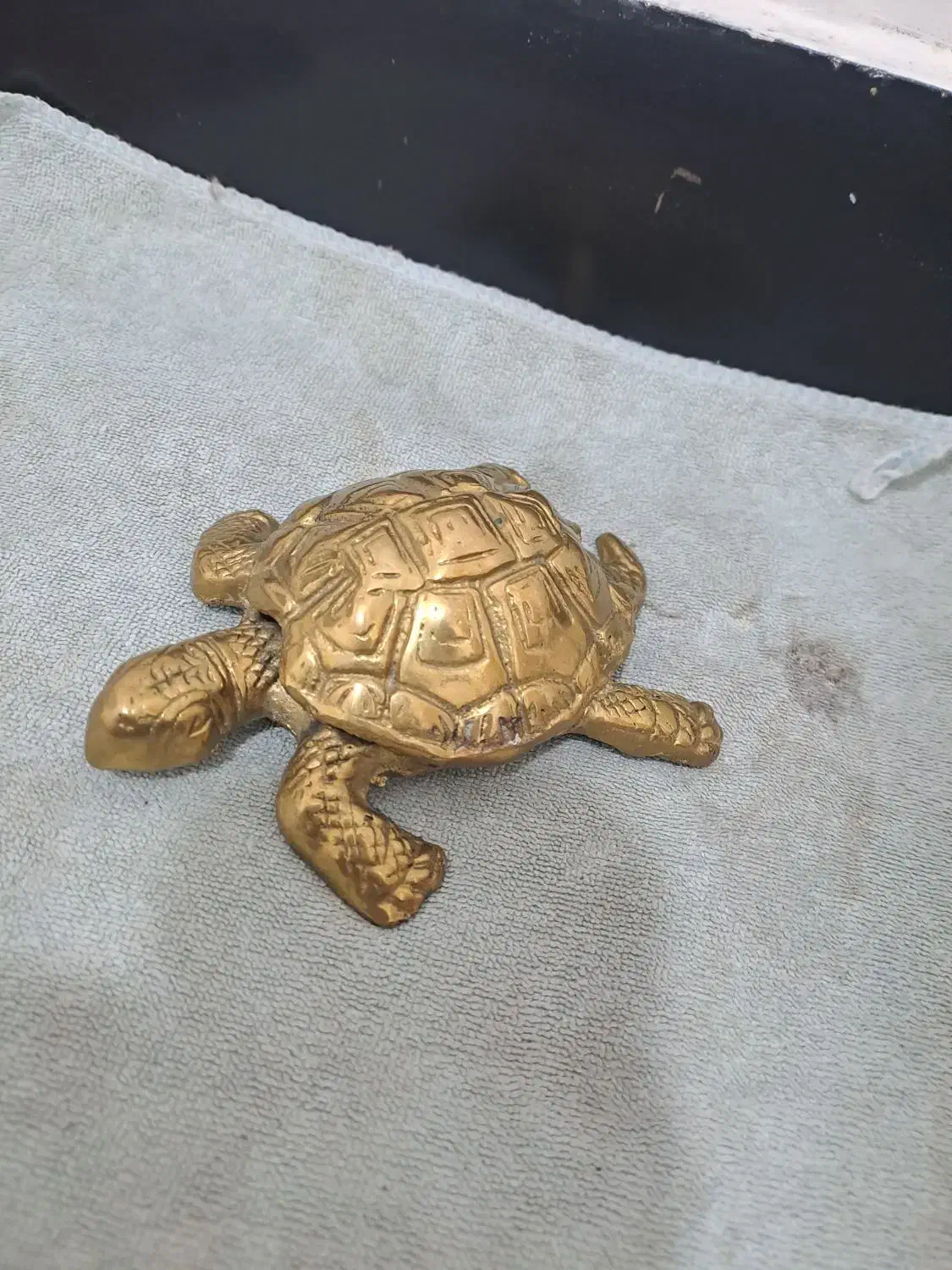 لاک پشت هست برنجی|مجسمه، تندیس، ماکت|بروجرد, |دیوار