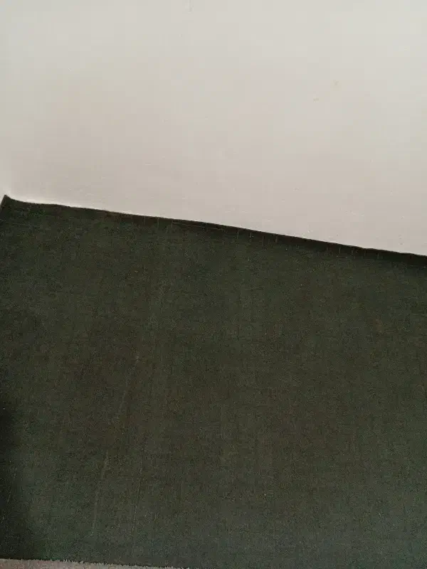 موکت|موکت|مشهد, حضرت حجت|دیوار