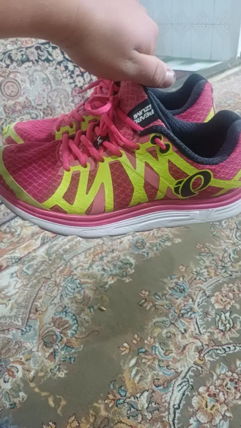 کفش|کیف، کفش، کمربند|مشهد, کوی دروی|دیوار