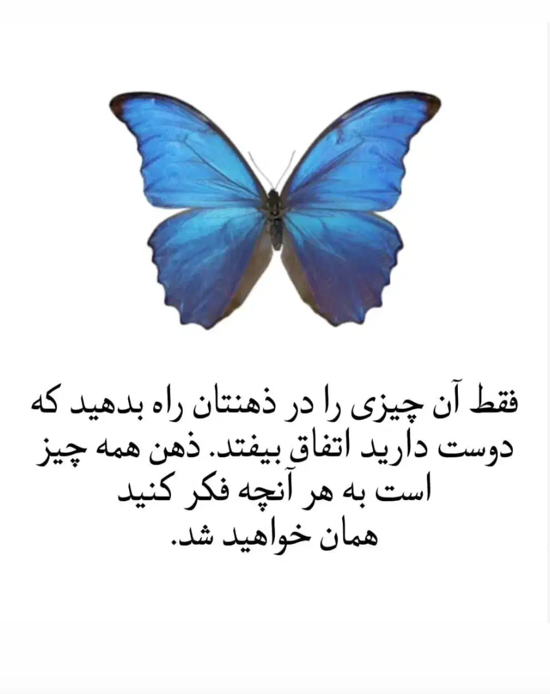 سرکتاب|خدمات پذیرایی، مراسم|ارومیه, |دیوار