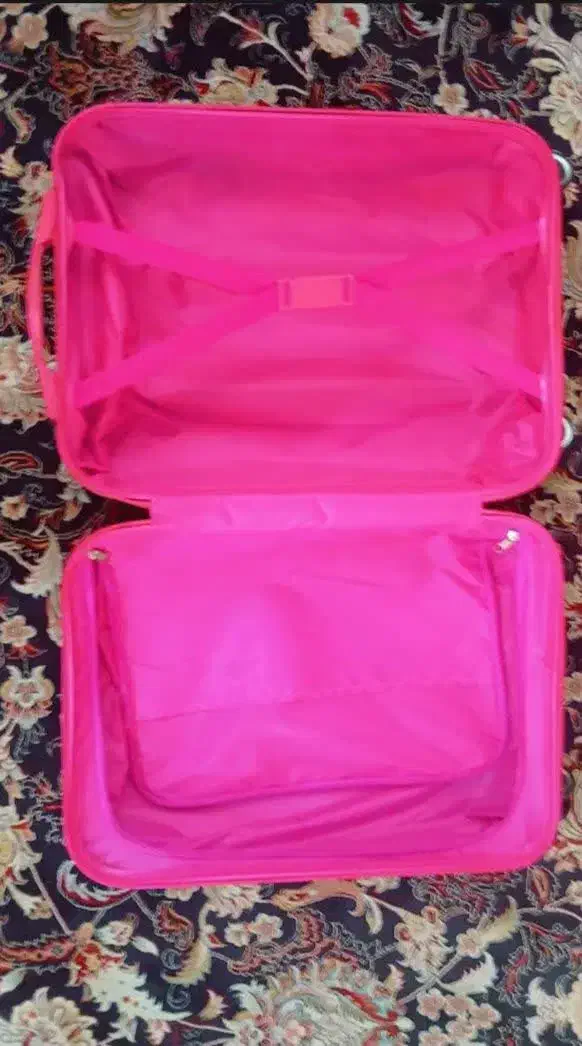 چمدان|کیف، کفش، کمربند|اراک, |دیوار