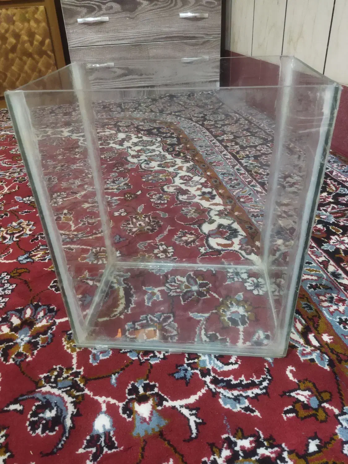 شیشه اکواریم|ماهی|یاسوج, |دیوار