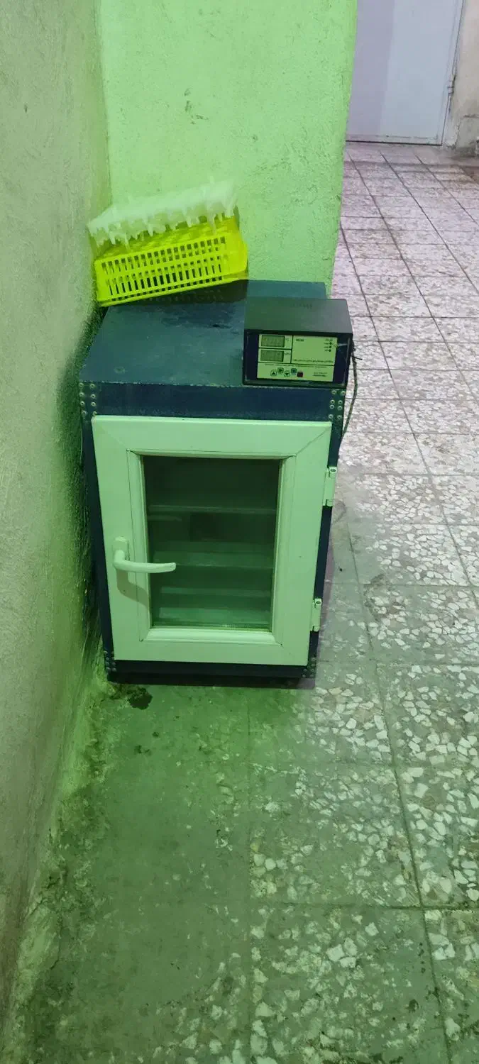 دستگاه جوجه کشی|لوازم جانبی حیوانات|اهواز, گلدشت|دیوار