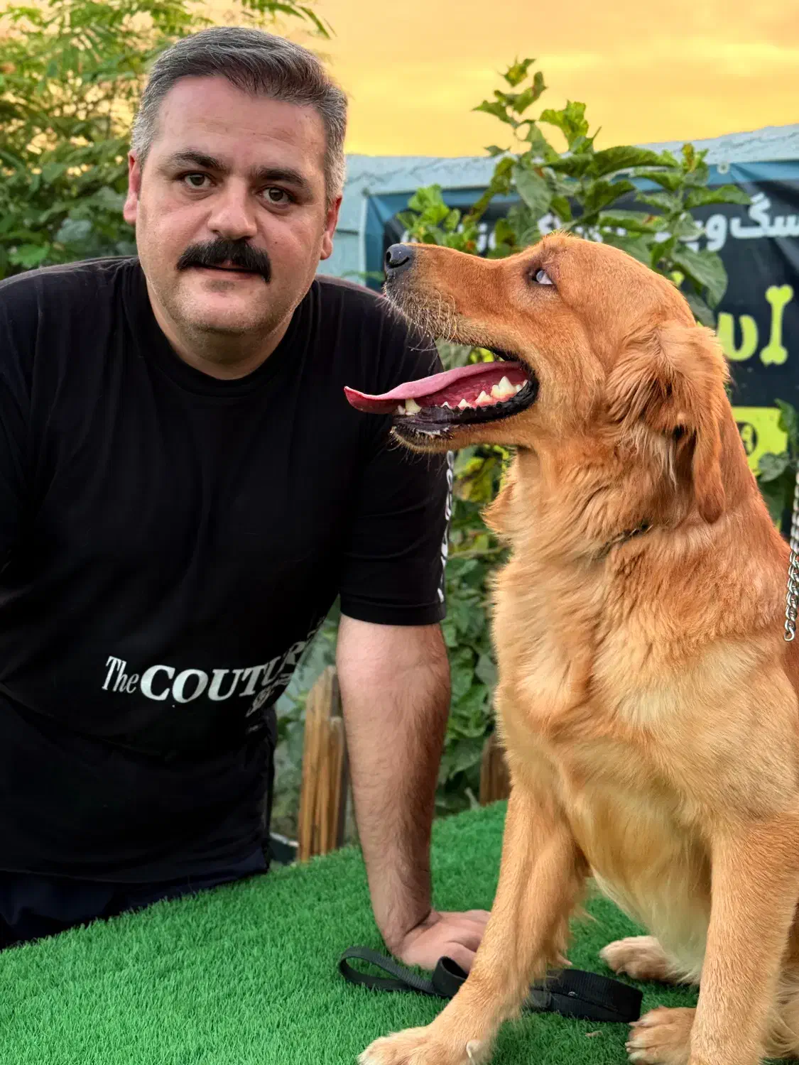 مربی سگ/آموزش سگ/مدرسه سگ|خدمات آموزشی|تهران, گیشا|دیوار