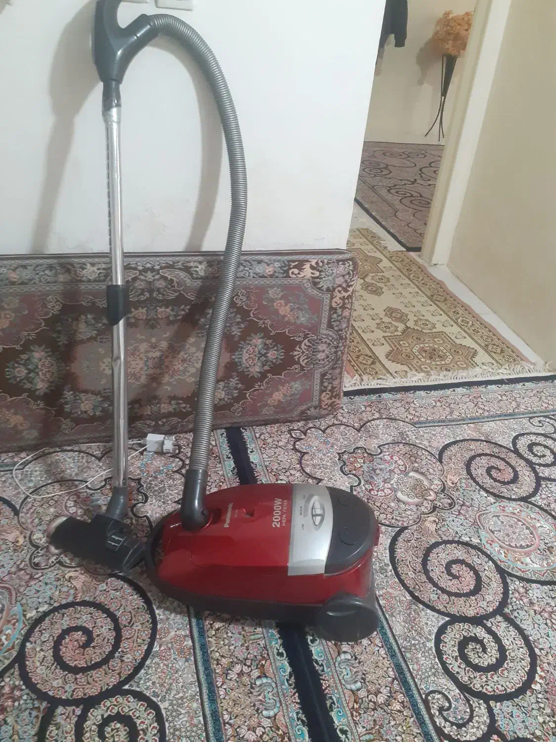 جاروبرقیاصلیپاناسونیک|جاروبرقی، جارو شارژی، بخارشو|قرچک, باقرآباد|دیوار