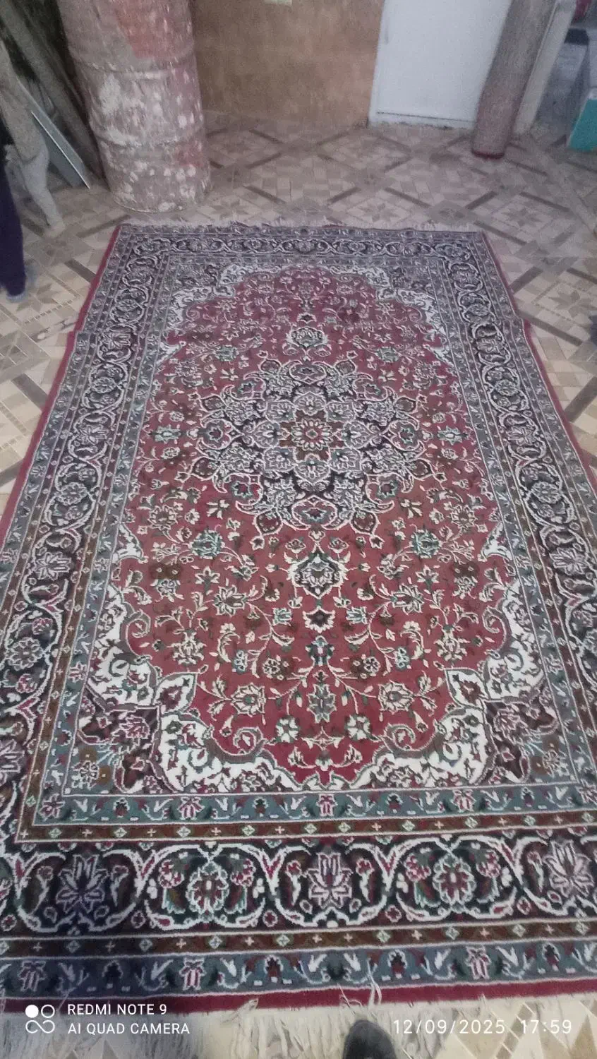 فرش ۶ متری|فرش|بیرجند, |دیوار