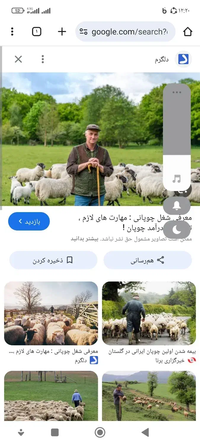نیازمند چوپان|استخدام سرایداری و نظافت|سیاخ دارنگون, |دیوار