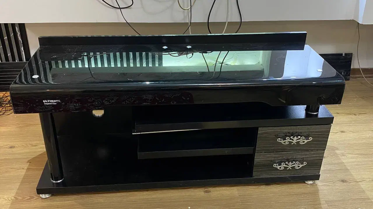 میز تلوزیون و فرش|فرش|اردبیل, |دیوار