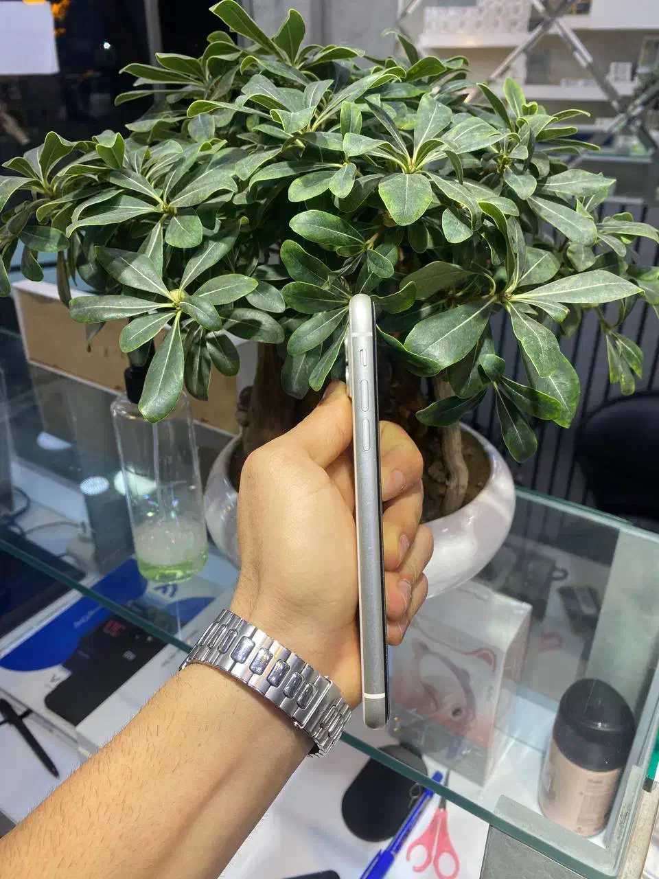 آیفون ۱۱ نرمال سفید پک اصلی باز نشده پلمپ|موبایل|رشت, لاکانی|دیوار