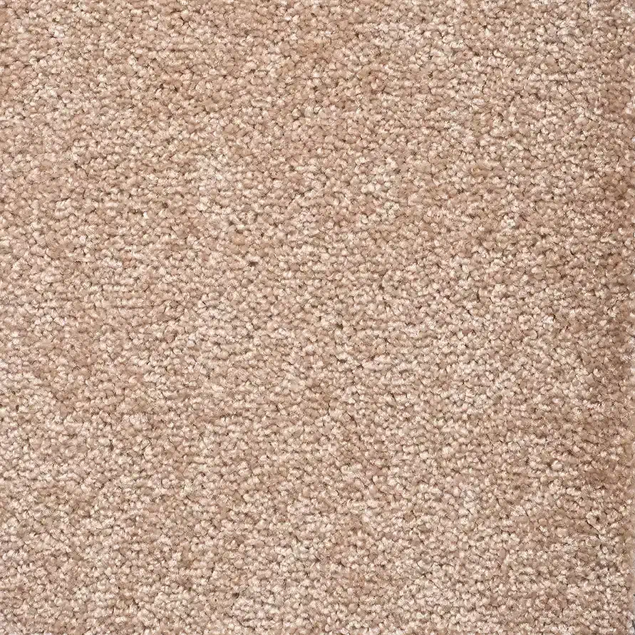 موکت پرز بلند پالاز|موکت|مشهد, گلبرگ|دیوار