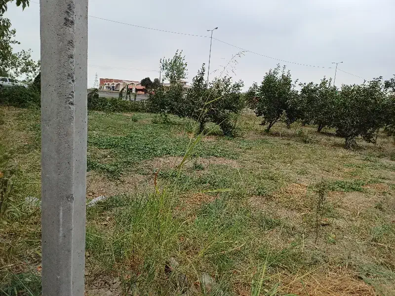 زمین،باغی سندششدانگ تک برگ،براتوبان اصلی|فروش زمین و ملک کلنگی|بندر گز, |دیوار