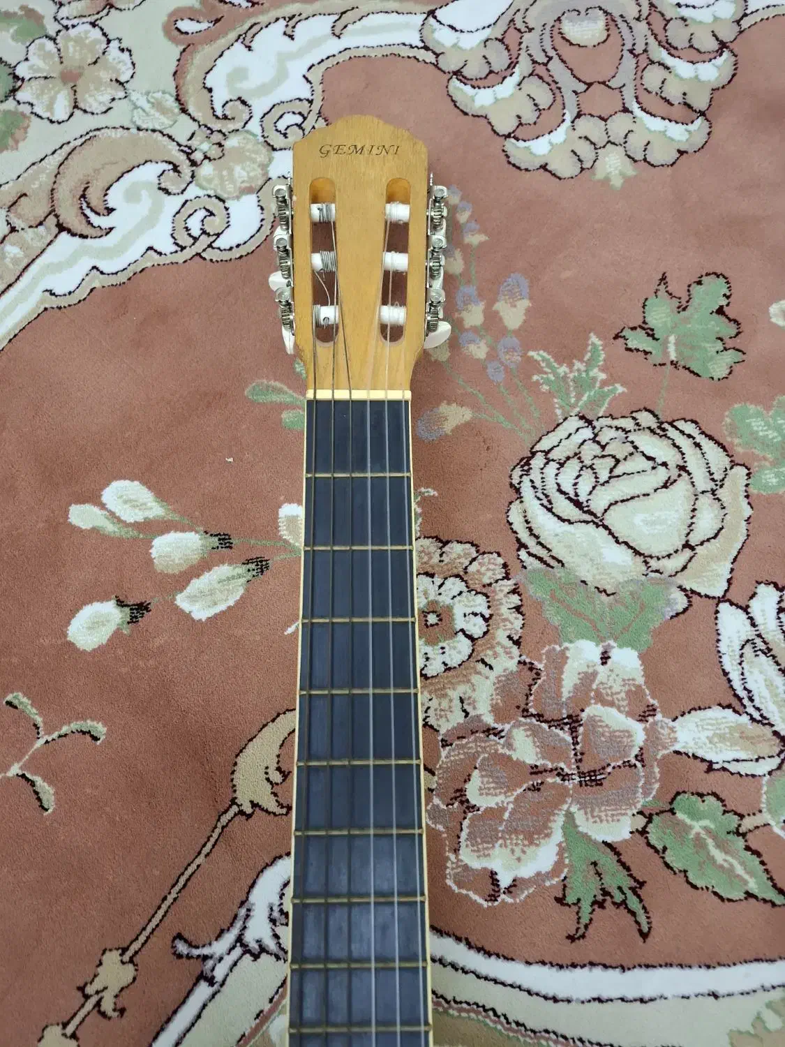 گیتار Gemini|گیتار، بیس، امپلیفایر|گرگان, |دیوار