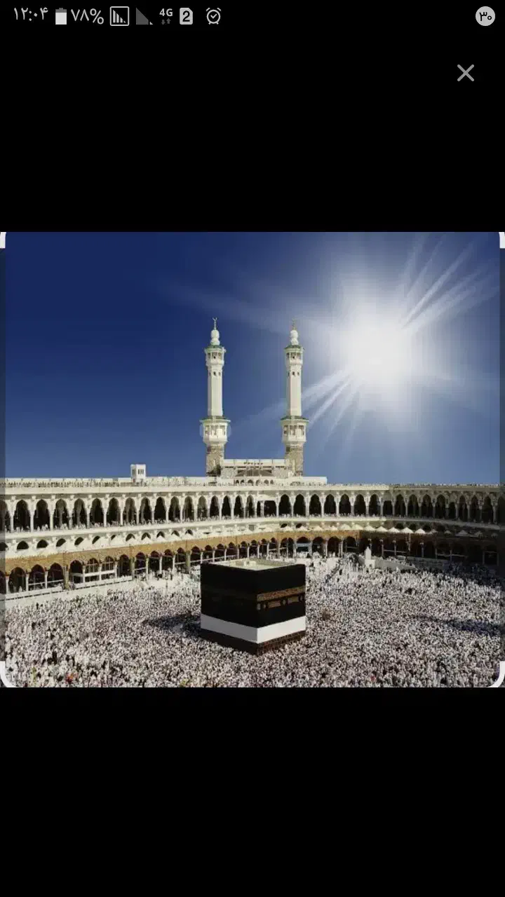 یک عددفیش حج تمتع|تور و چارتر|کنگاور, |دیوار