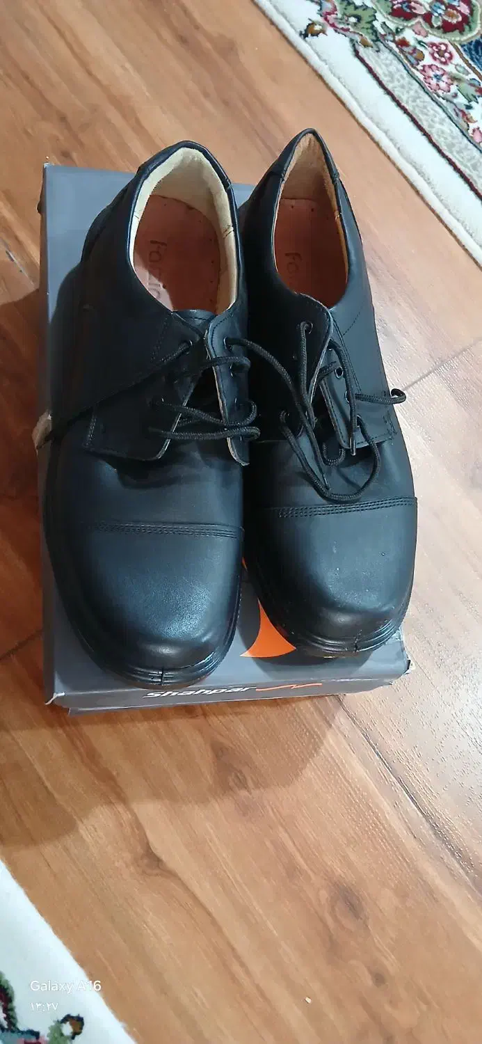 کفش|کیف، کفش، کمربند|جیرفت, |دیوار