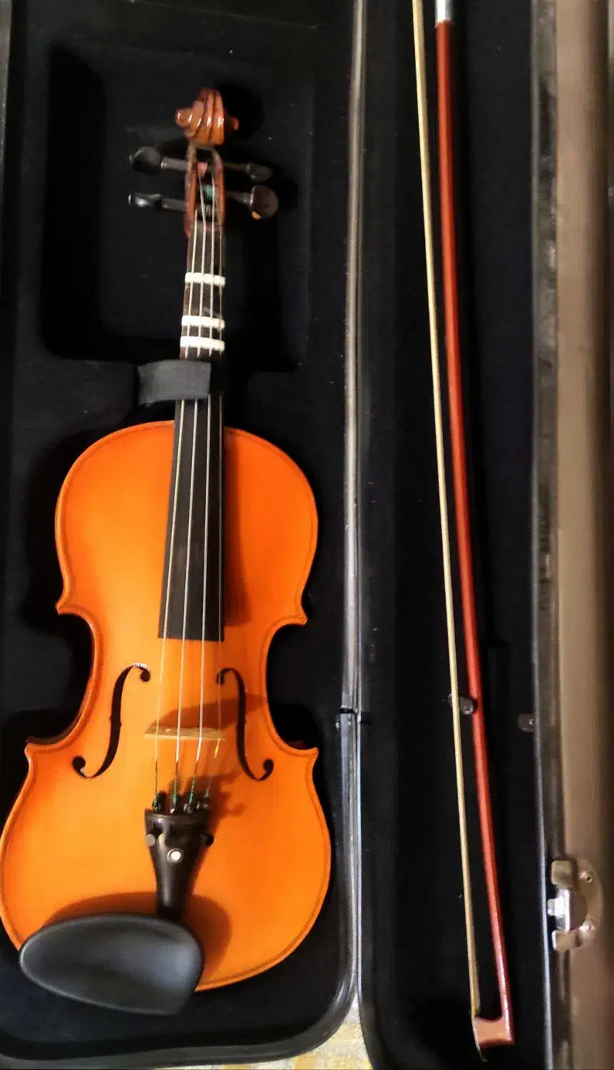 ویولن|ویولن|اصفهان, مولوی|دیوار