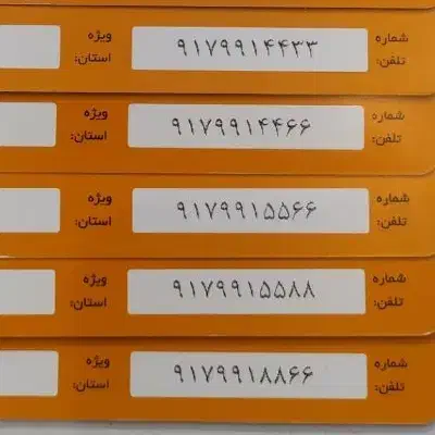 0917-99-1-88-66|سیم‌کارت|شیراز, معالی‌آباد|دیوار