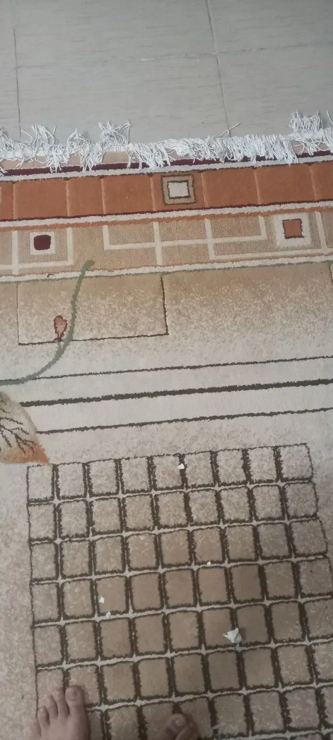 وسایل خانه حراج فروش فوری|حراج|علیآباد کتول, |دیوار