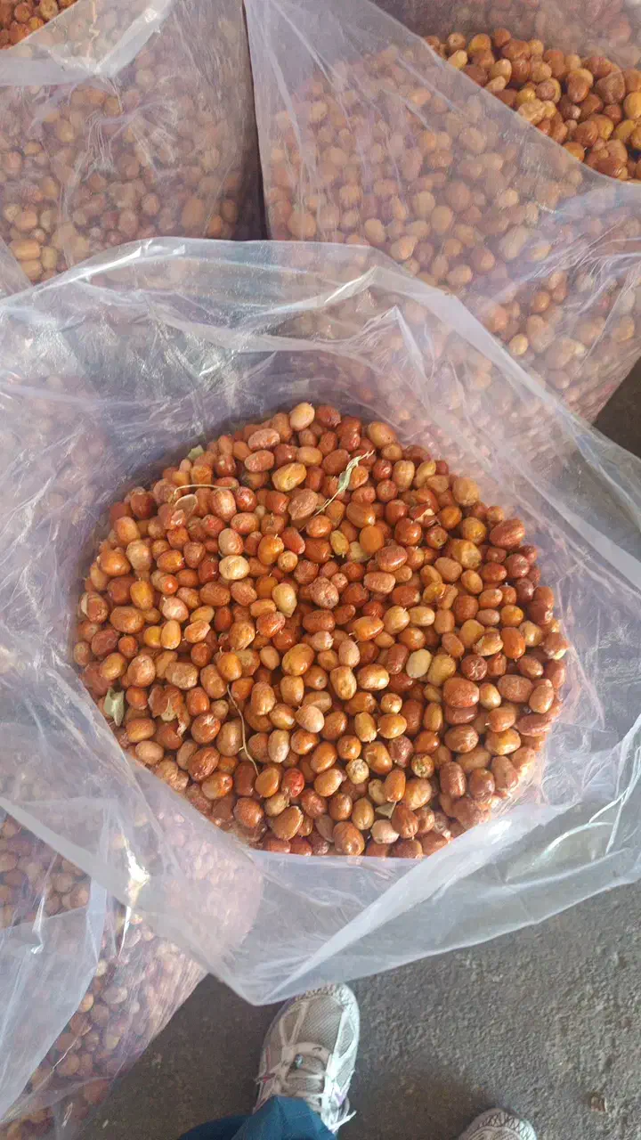 سنجد|خوردنی و آشامیدنی|شاهین دژ, |دیوار