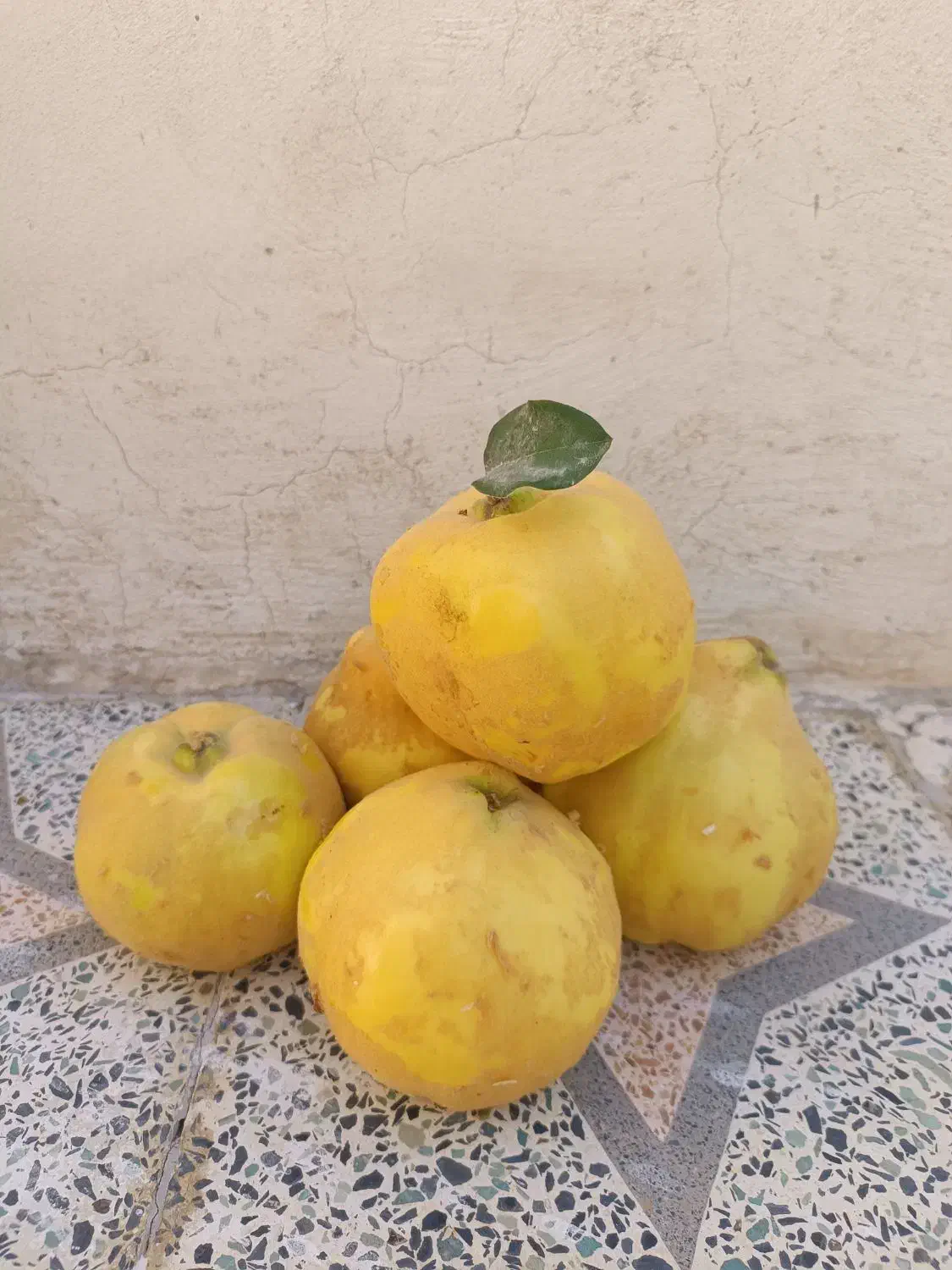 فروش میوه به درجه یک|عمدهفروشی|سپیدان, |دیوار