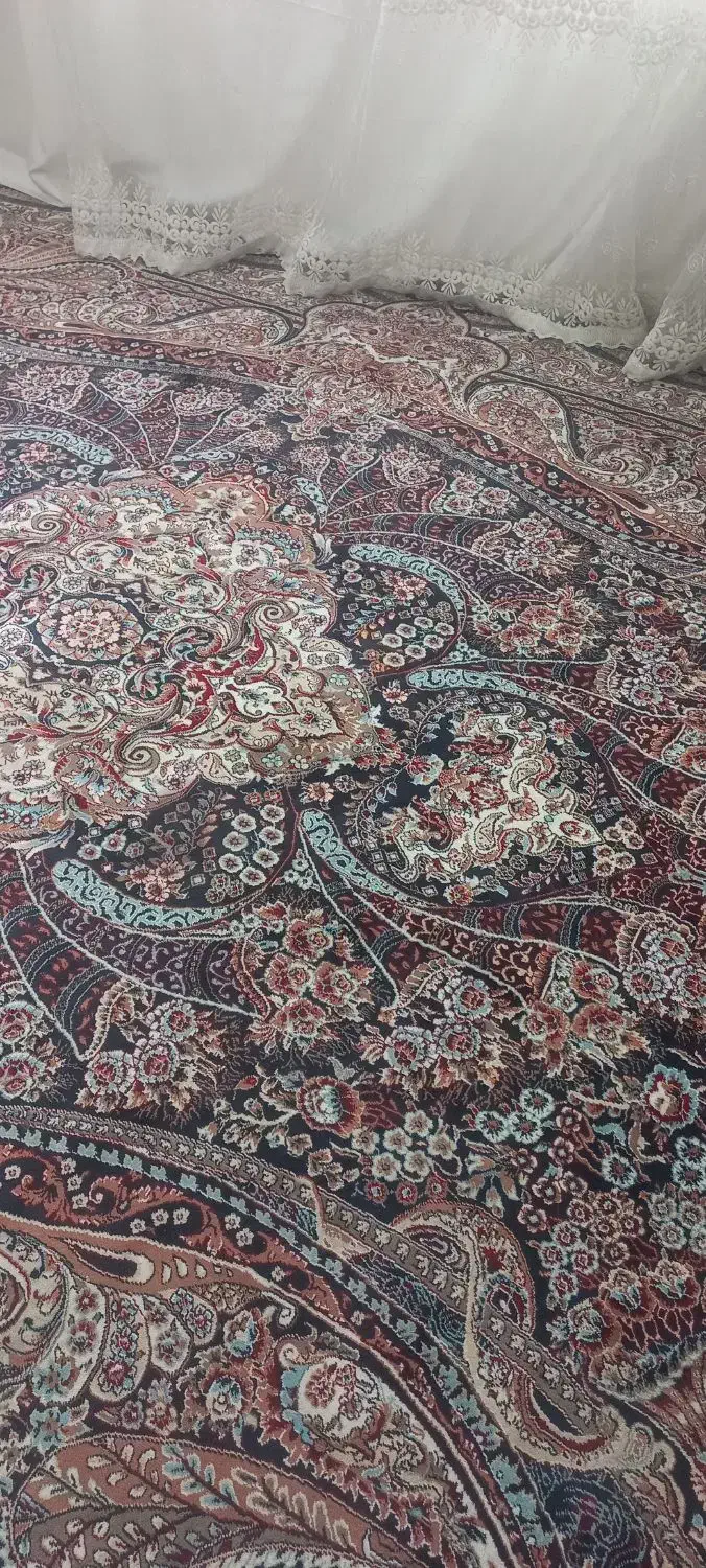 دو عدد فرش سرمه ای|فرش|اندیمشک, |دیوار