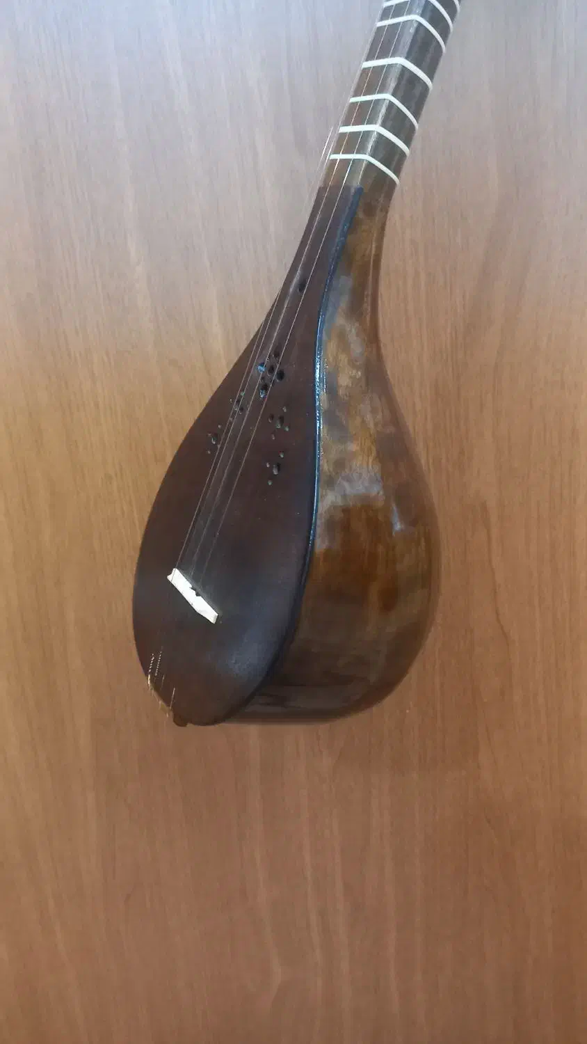 سه تار مفاخری (سفارشی ساخت)|سازهای سنتی|دزفول, |دیوار