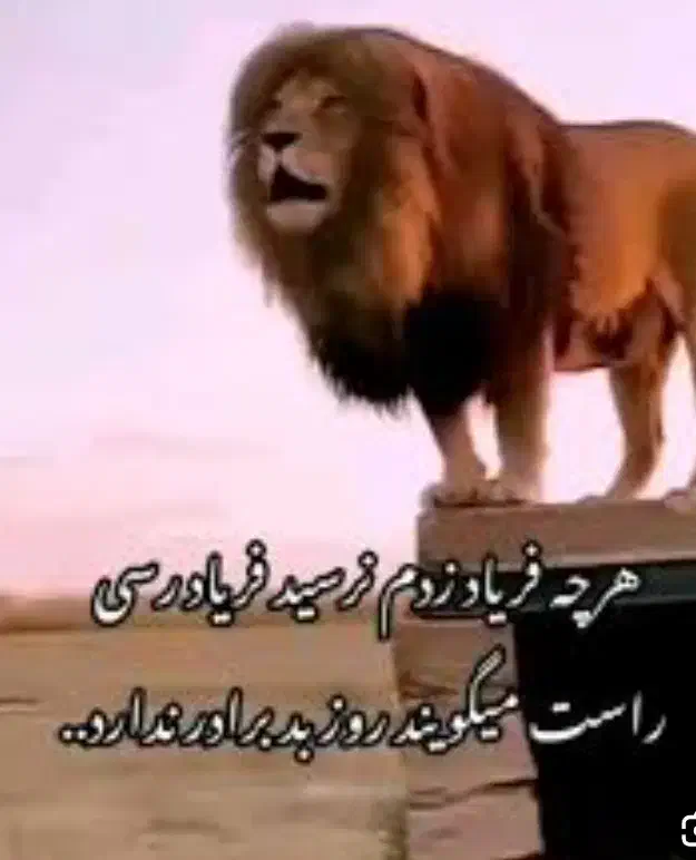 خط  ۱۵۳|تلفن رومیزی|قم, بلوار امین و ساحلی|دیوار