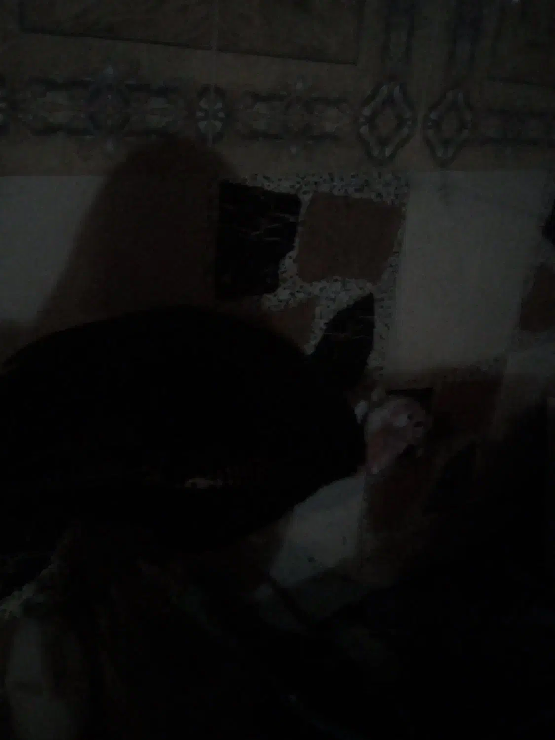 یک مقلمون|گربه|زهک, |دیوار