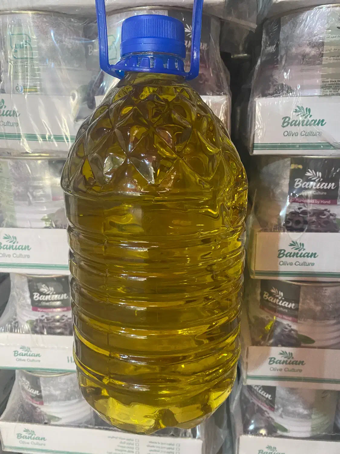 روغن زیتون بکر و فرابکر شمال|خوردنی و آشامیدنی|شیراز, تاچارا|دیوار