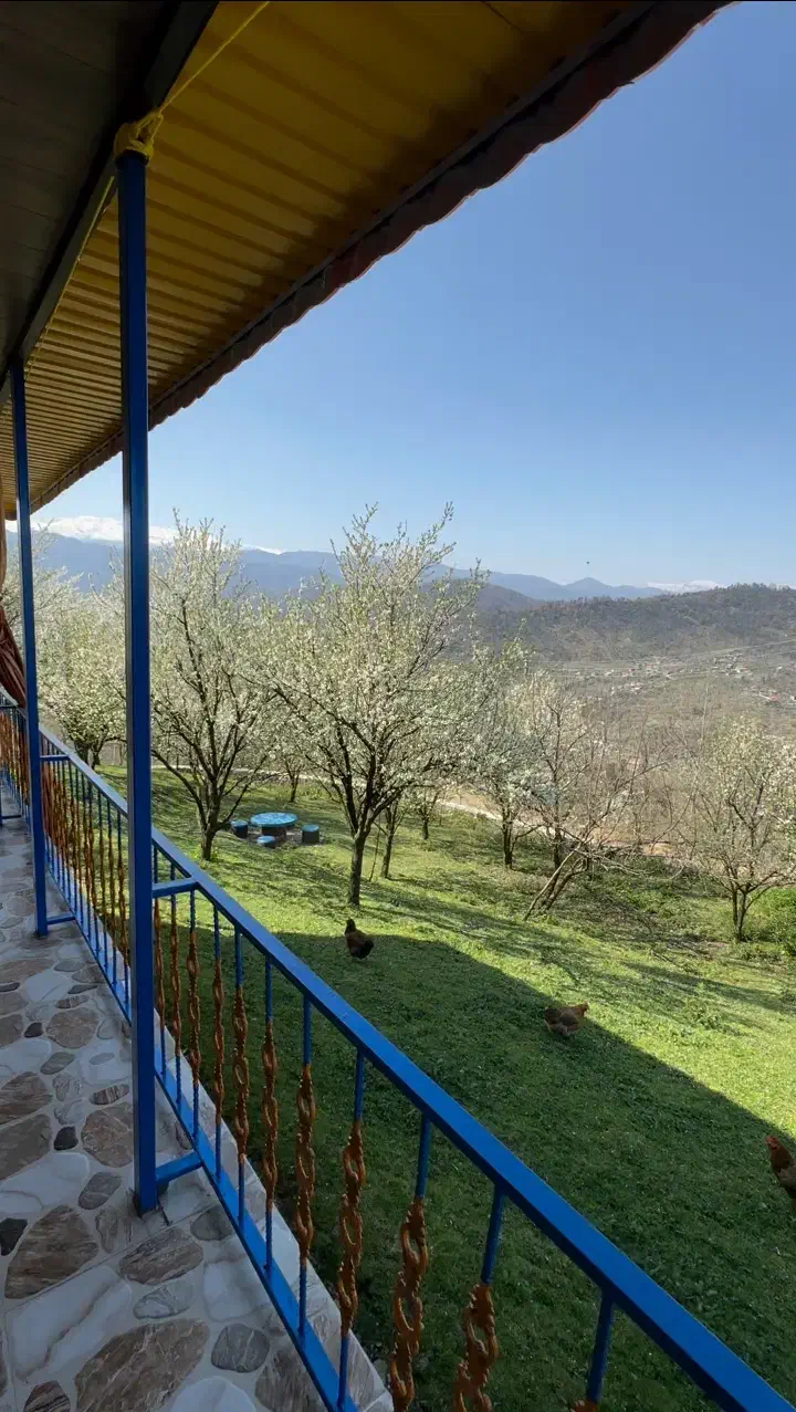 سوئیت و کلبه اجاره ایی با قیمت مناسب(امشب خالی)|اجارهٔ کوتاه‌مدت ویلا و باغ|بابل, |دیوار