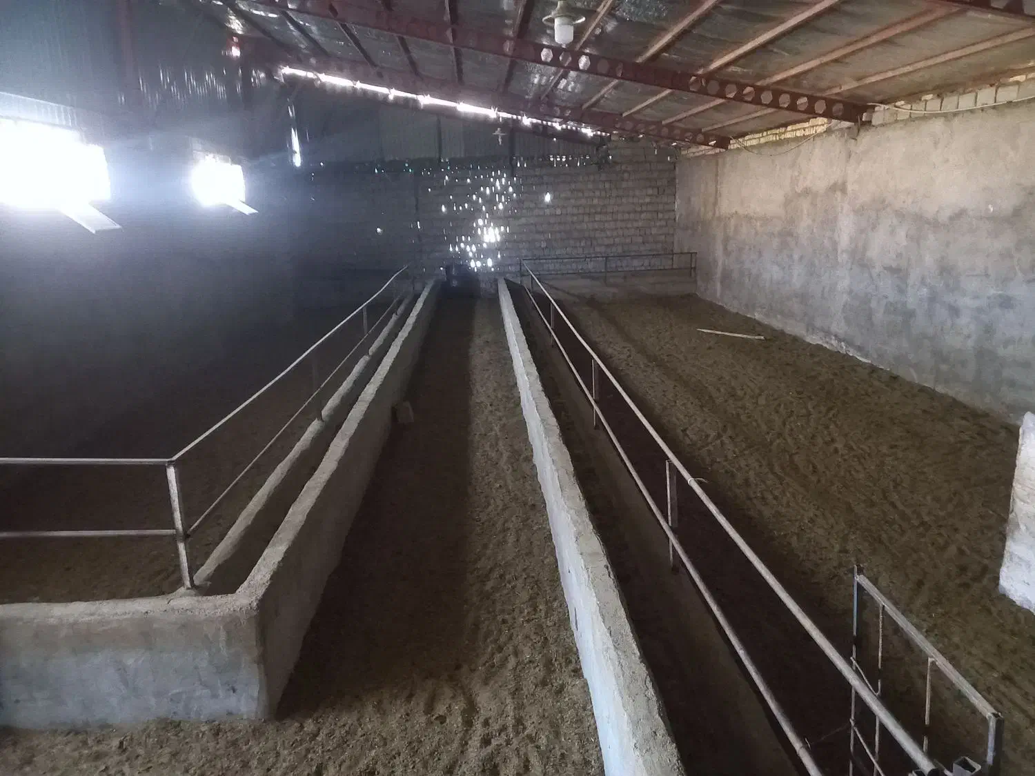 فروش دامداری ودامپروری|فروش دفتر صنعتی، کشاورزی، تجاری|صمصامی, |دیوار