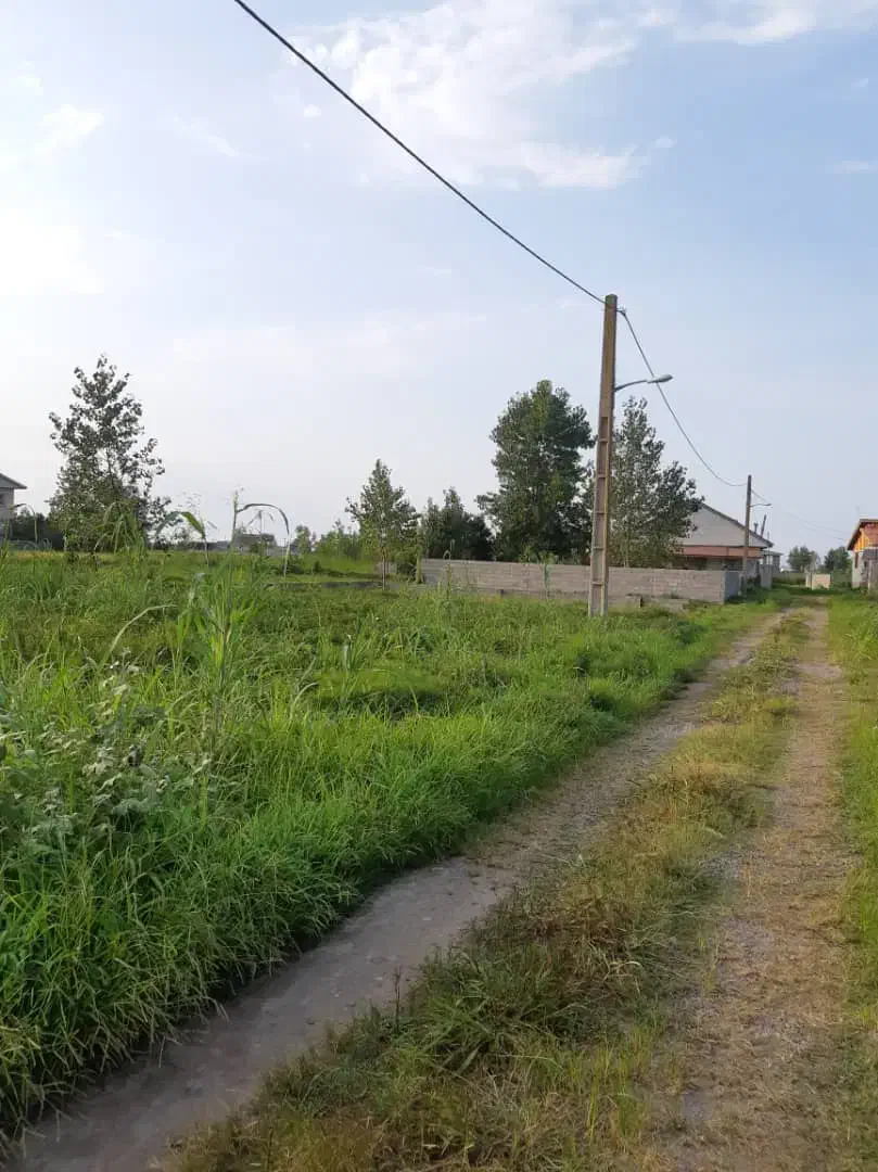 ۲۰۰ متر،۳۰۰ متر و ۶۰۰ متر زمین در خط ساحلی|فروش زمین و ملک کلنگی|کیاشهر, |دیوار