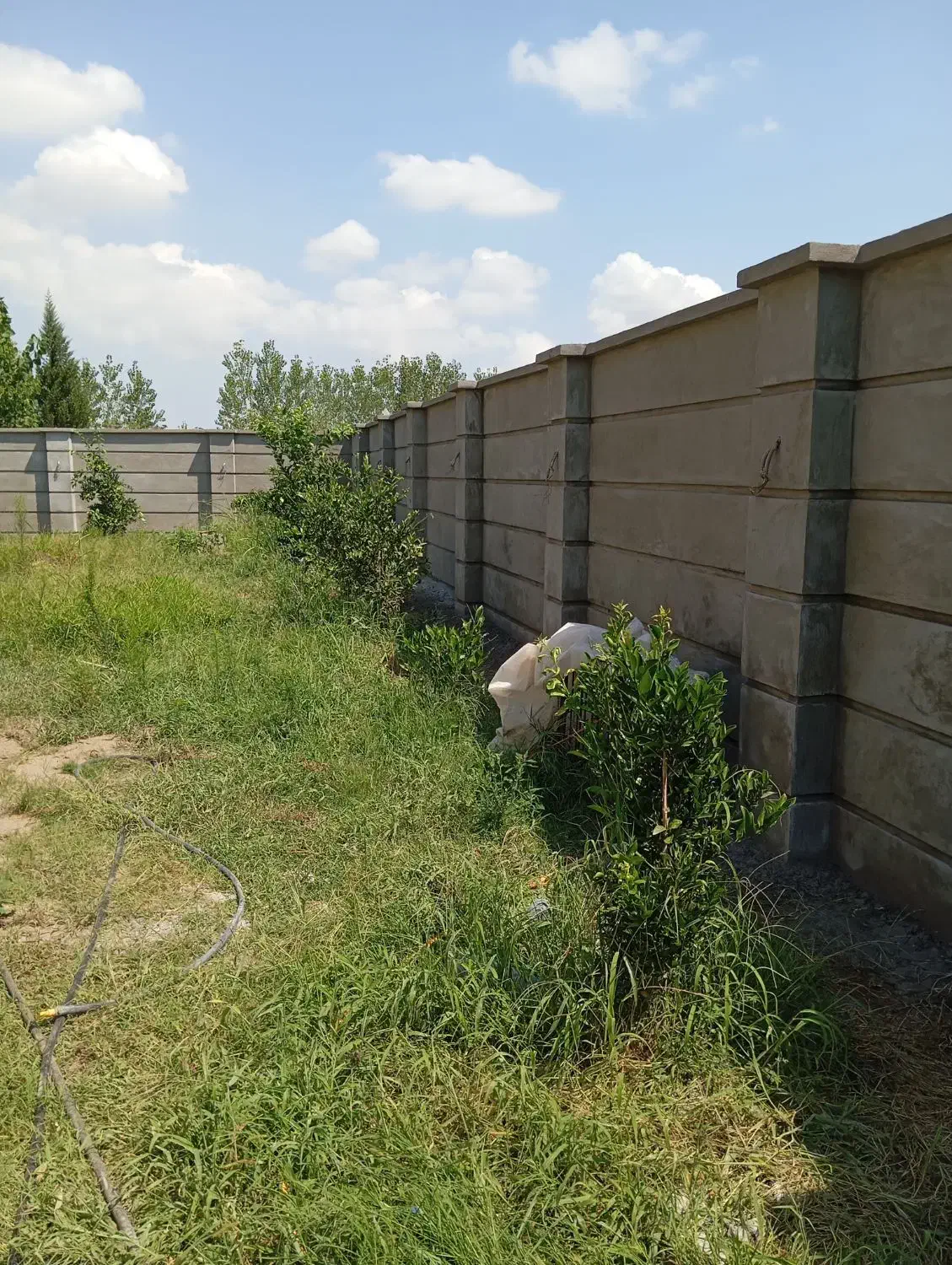 کاشی کاری سیمان کاری و ...|خدمات پیشه و مهارت|لاهیجان, قیام|دیوار