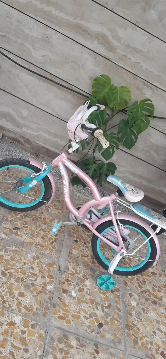 دوچرخه|دوچرخه، اسکیت، اسکوتر|تالش, هشتپر|دیوار