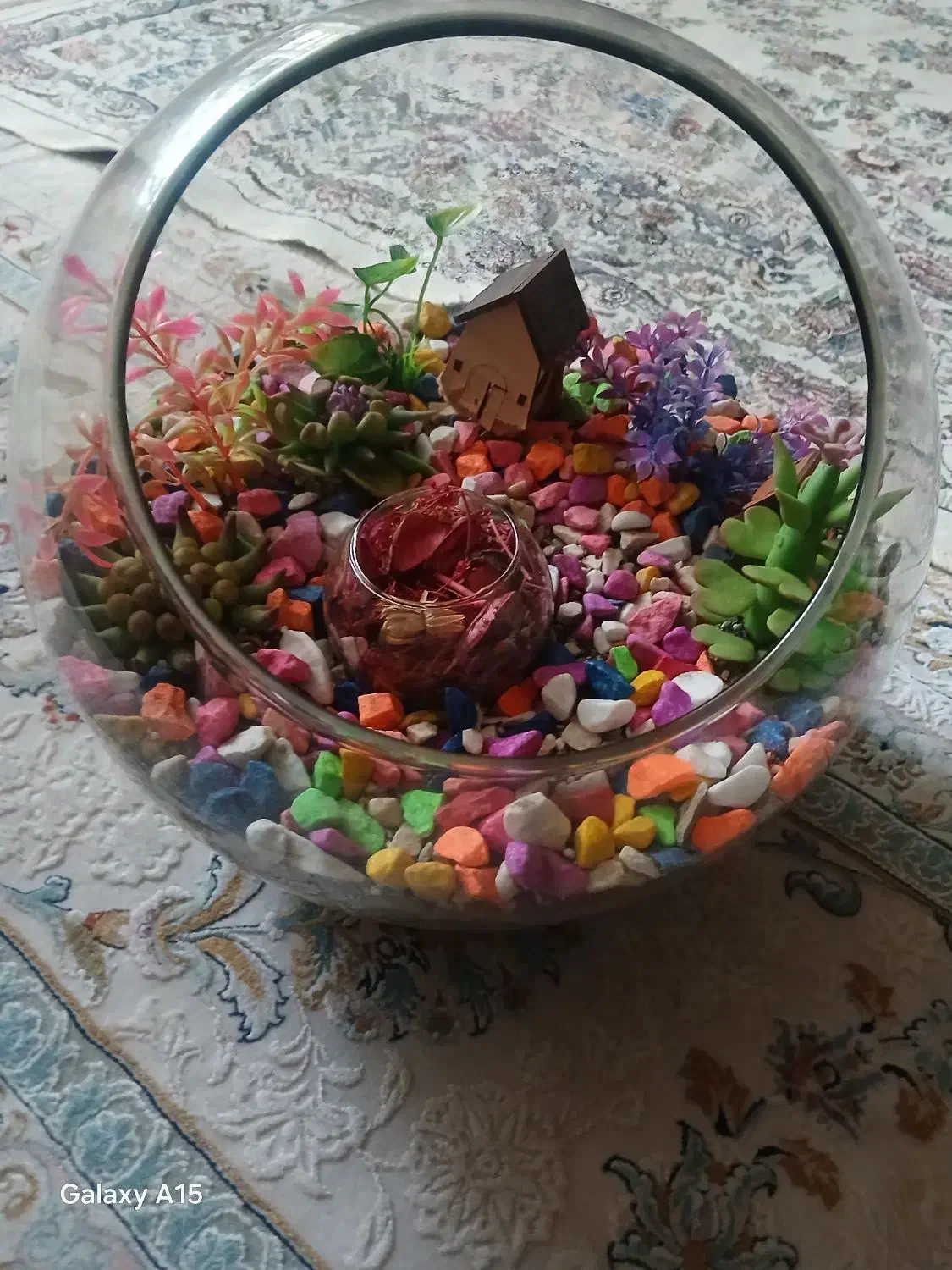 آکواریوم بزرگ|گل و گیاه طبیعی|مریوان, |دیوار